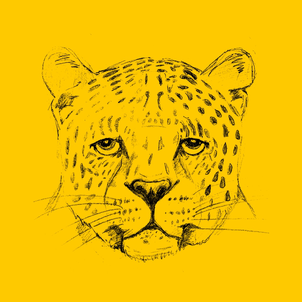 01_sad_leopard
